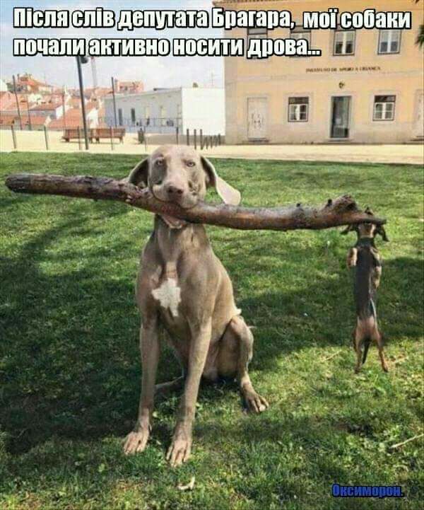Яиіммтюи