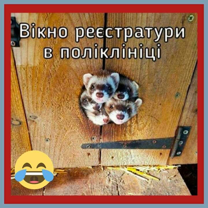О іікно реестратури в ппошктнщп