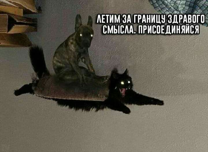 ггднищ ВМЫЬМЧПРЁВПЕДИНЯИЕЯ