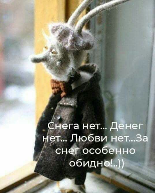 Янега нет