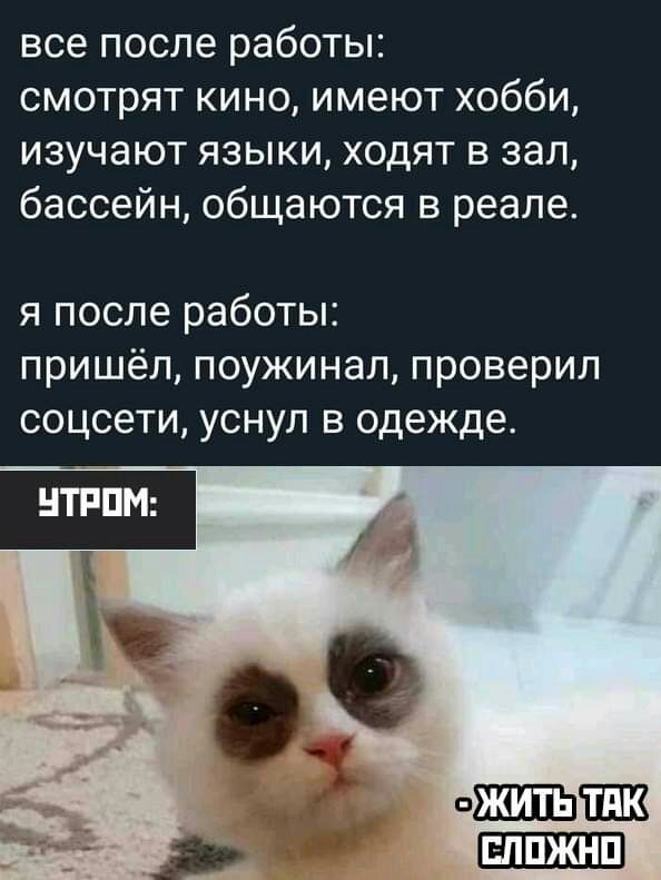 все после работы смотрят кино имеют хобби изучают языки ходят в зал бассейн общаются в реале я после работы пришёл поужинал проверил соцсети уснул в одежде