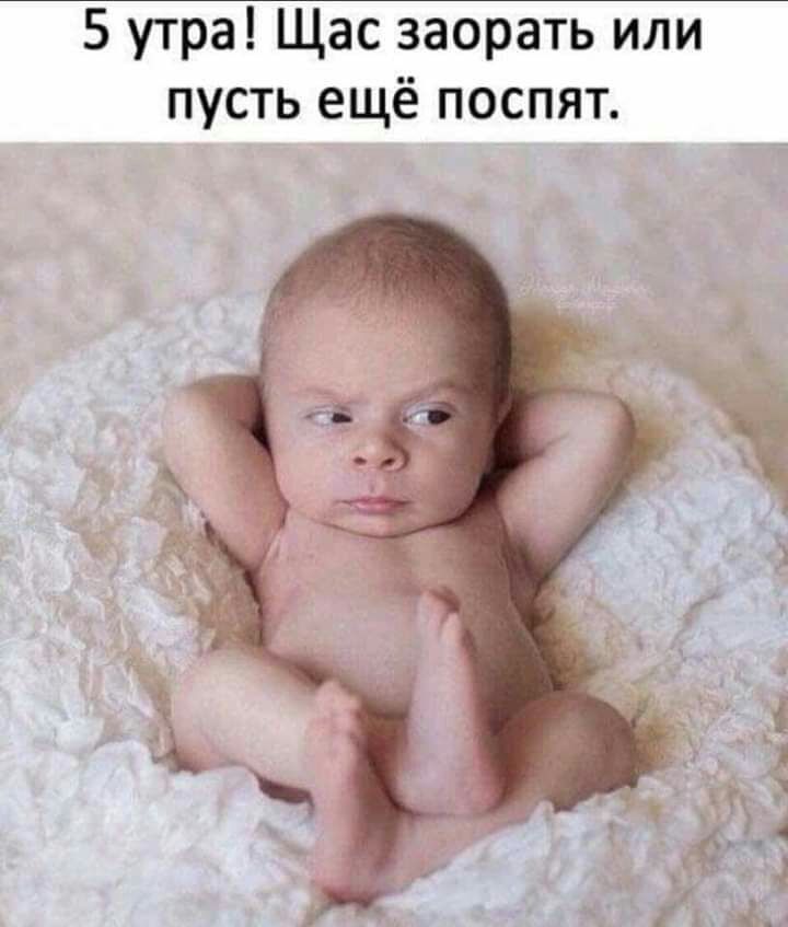5 утра Щас заорать или пусть ещё поспят