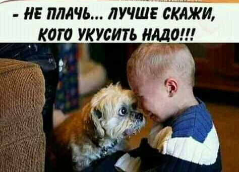 не плачь лучш тяжи _ кого укусить Ада