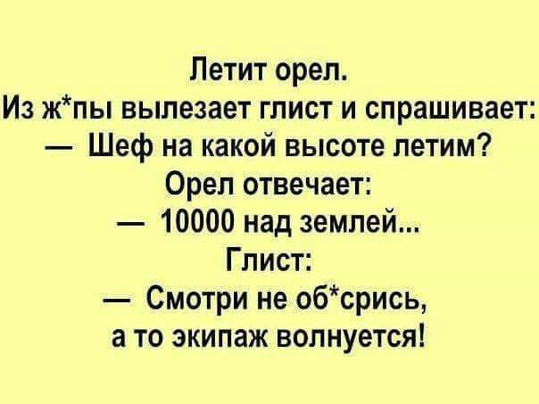 Петит орел Из жпы вылезает глист и спрашивает Шеф на какой высоте летим Орел отвечает 10000 над землей Глист Смотри не обсрись а то экипаж волнуется
