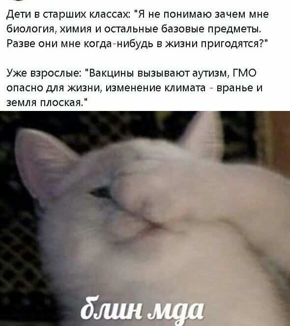 Дети в старших классах Я не панимаю зачем мне биология химия и остальные базовые предметы Разве они мне когдайнибудь в жизни пригодятся Уже взрослые Вакцины вызывают аутизм ГМО опасно для жизни изменение климата вранье и земля плоская дмшща