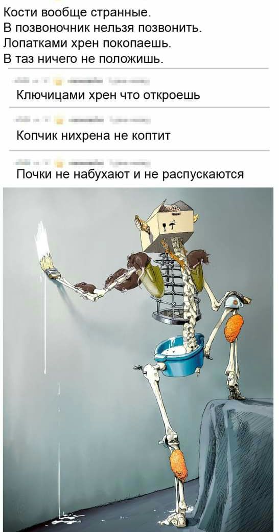 Кости вообще странные В позвоночник нельзя позвонить Лопатками хрен покопаешь В таз ничего не положишь Ключицами хрен что откроешь КОПЧИК нихрена не КОПТИТ Почки не набухают и не распускаются