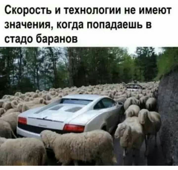Скорость и технологии не имеют значения когда попадаешь в стадо баранов