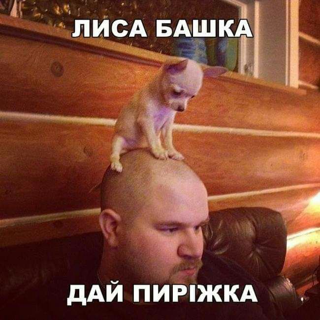 дАЙ пипжкд