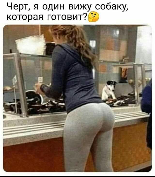 Черт я один вижу собаку которая готовит