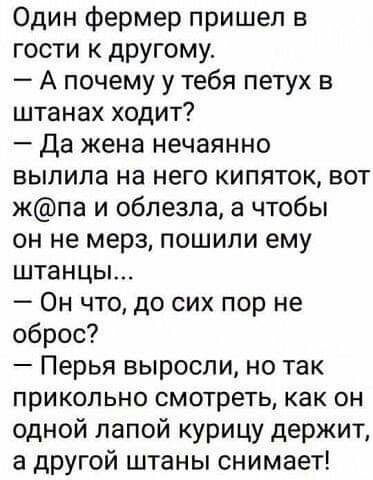 Один фермер пришел в гости к другому А почему у тебя петух в штанах ходит да жена нечаянно выпила на него кипяток вот жпа и облезпа а чтобы он не мерз пошипи ему штанцы Он что до сих пор не оброс Перья выросли но так прикольно смотреть как он одной папой курицу держит другой штаны снимает