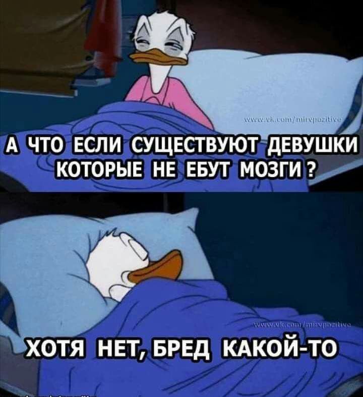 А ЧТО ЕСЛИ СУЩЕСТВУЮТЩЕВУШКИ КОТОРЫЕ НЕ ЕБУТ МОЗГИ у ХОТЯ НЕТ БРЕД КАКОЙ ТО