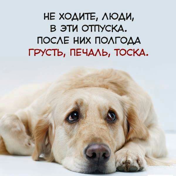 НЕ ХОДИТЕ АЮАИ В ЭТИ ОТПУСКА ПОСАЕ НИХ ПОАГОАА ГРУСТЬ ПЕЧААЬ ТОСКА