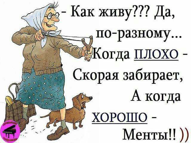 Как живу Да поразному огда ПЛОХО Скорая забирает А когда ХОРОШО Менты