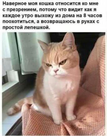 Наверное им кошка шишки ко мне пппииид тому что пилит кпк я ниши утро пыхожу и дома и в часе поохотиться по ращаюпь в руки простоя лепешкой
