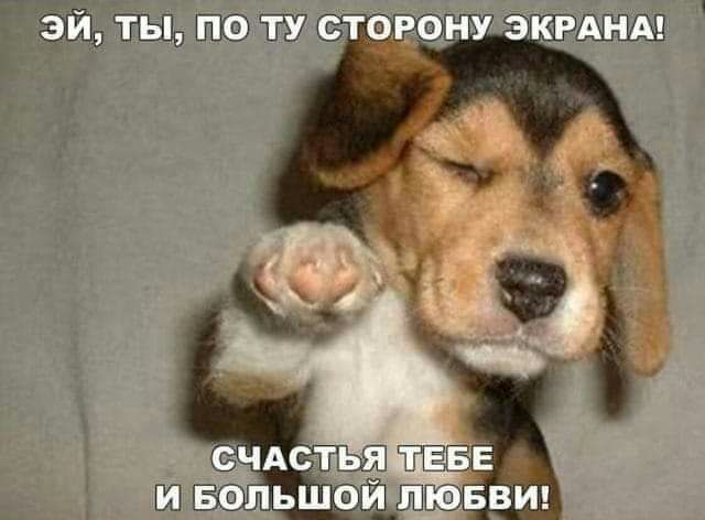 _ ч