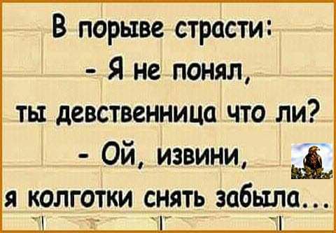 В порыве страсти Я не понял ты девственница что ли Ой извини Ш я колготки сиять забыла