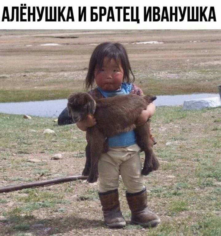 АЛЁНУШКА И БРАТЕЦ ИВАНУШКА