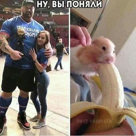 _ НУ выПТОДЕЗШИУэ Д ЁЬЩ