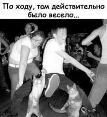 По ходу там действительно было весело