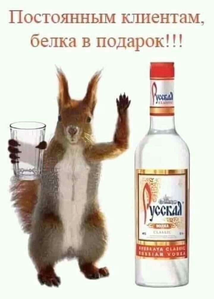 Постоянньпи кппентам белка в подарок