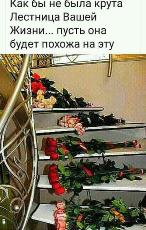 ы не выла крута Лестница Вашей Жизни пусть она