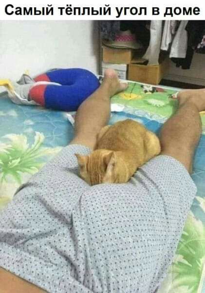 Самый тёплый угол в доме
