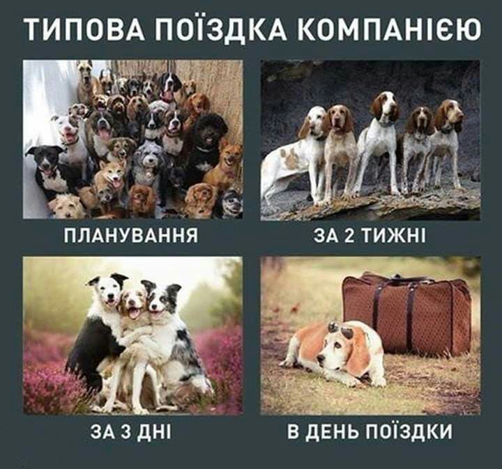 ТИПОВА поіЗДКА коммнпею 563 дни 7 в день поіздки