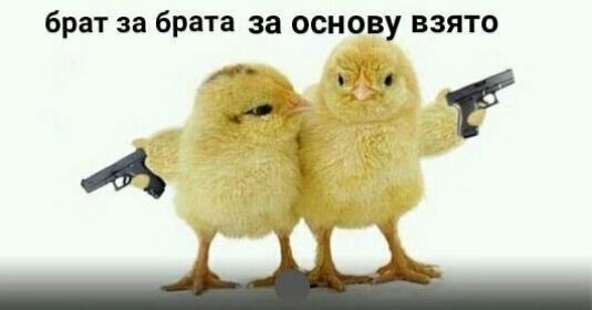 брат за брата за основу взято