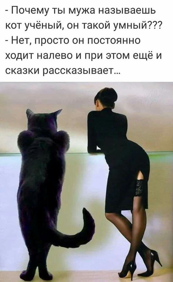 Почему ты мужа называешь кот учёный он такой умный Нет просто он постоянно ходит налево и при этом ещё и сказки рассказывает