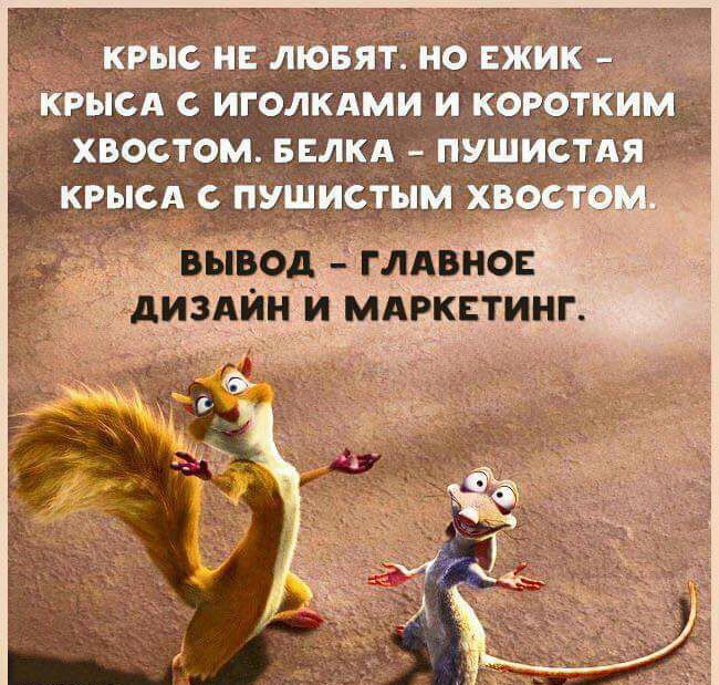 крЫс и люёяі но ежи Крысд иголкдми и коротким хвостом ввлкд пушист крысд с пушистым хв ИЗАИН И МАРКЕТИНГ