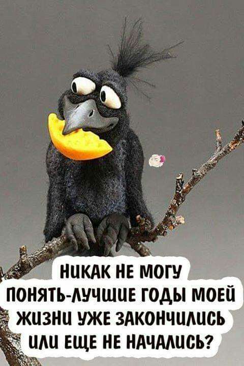 поняты лучшие годымові жизни уже здкончцшсь или еще не ндчмцсь