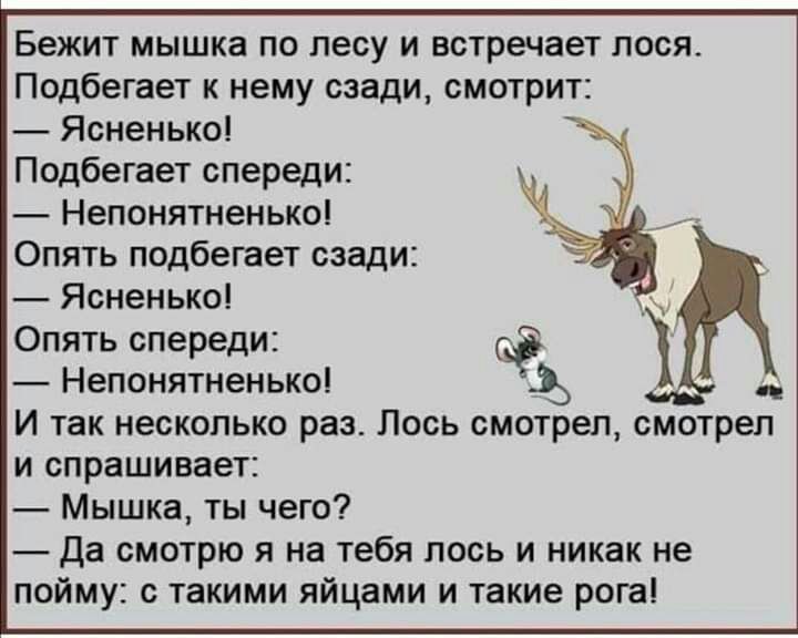 Бежит мышка по лесу и встречает лося Подбегает к нему сзади смотрит Ясненько Подбегает спереди Непонятненько Опять подбегает сзади Ясненько Опять спереди зд Непонятненько И так несколько раз Лось смотрел смотрел и спрашивает Мышка ты чего Да смотрю я на тебя лось и никак не пойму с такими яйцами и такие рога