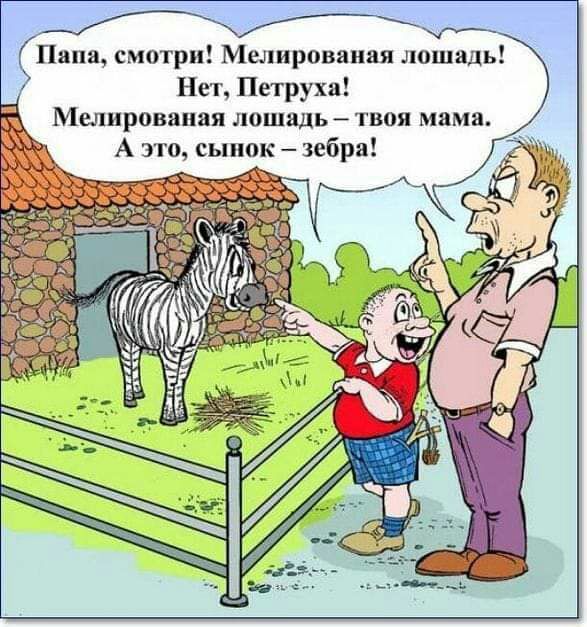 ТВОЯ мама зебра Петруха к Нет Мелировапая лошадь Щ д а Ш Ю Я в и а В 0 р т Т 0 м с А это сыпо Папа