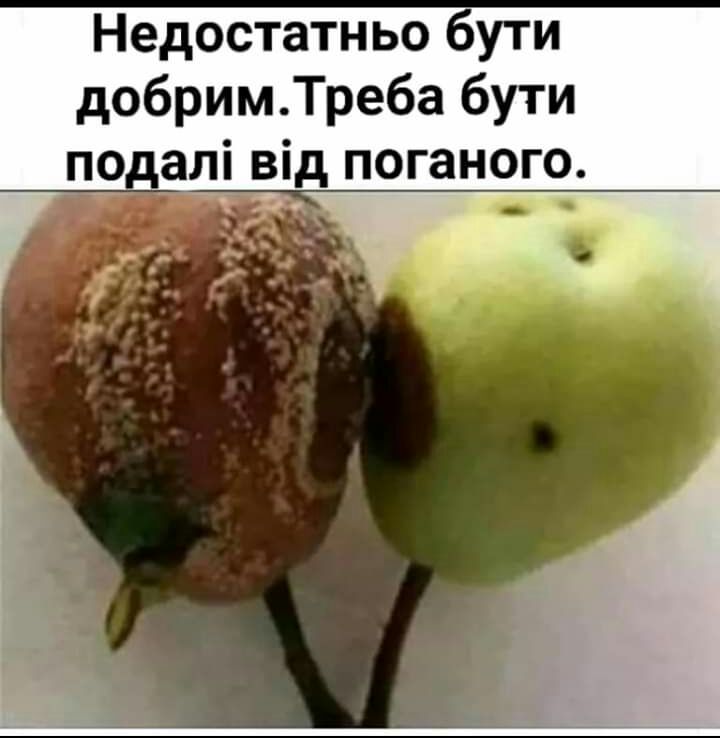 Недостатньо бути добрим Треба бути подалі від поганого