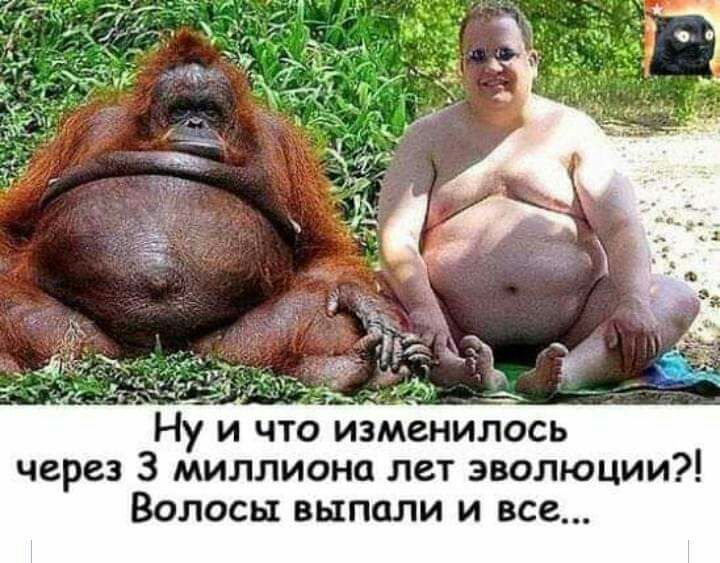 Ну и что изменилось через 3 миллиона лет эволюции Волосы выпали и все