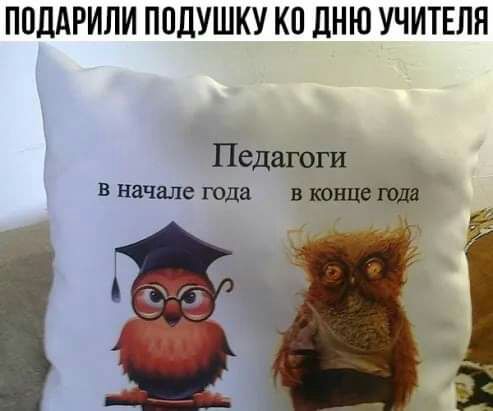 ПОЦАРИЛИ ППЛУШКУ КП ЦНЮ УЧИТЕЛЯ Педагоги В Начале года в конце года