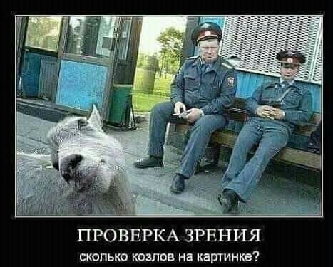 ым г ПРОВЕРКА ЗРЕНИЯ сколько кипиа на картинке