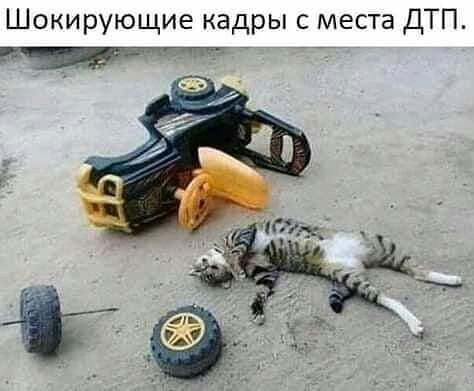 Шокирующие кадры с места ДТП