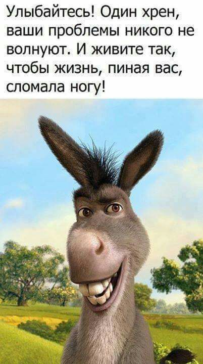 Улыбайтесь Один хрен ваши проблемы никого не волнуют И живите так чтобы жизнь пиная вас спомала ногу
