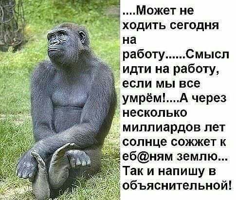 Может не ходить сегодня на работу Смысл идти на работу если мы все умрёмА через несколько миллиардов лет олнце сожжет к ебням землю Так и напишу в объяснительной