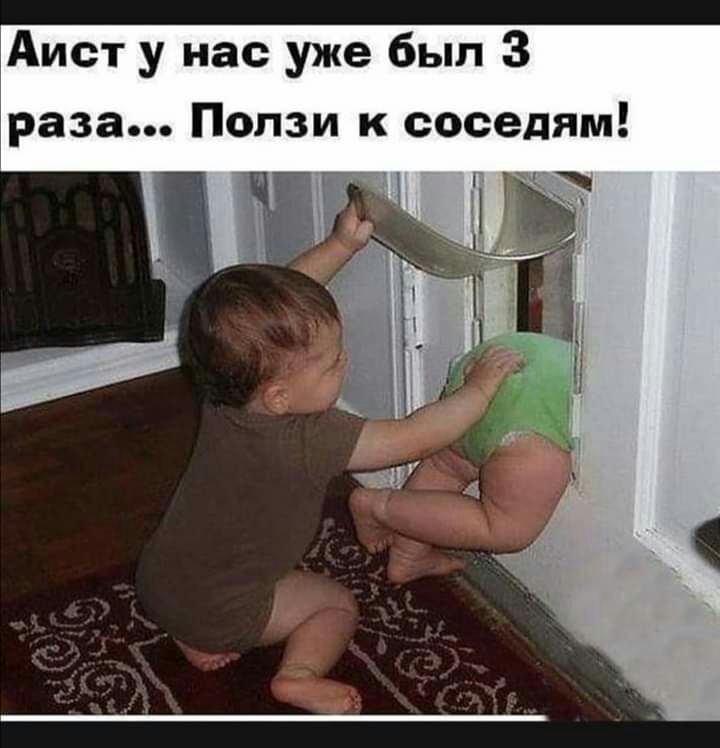 Аист у нас уже был 3 раза Ползи к соседям