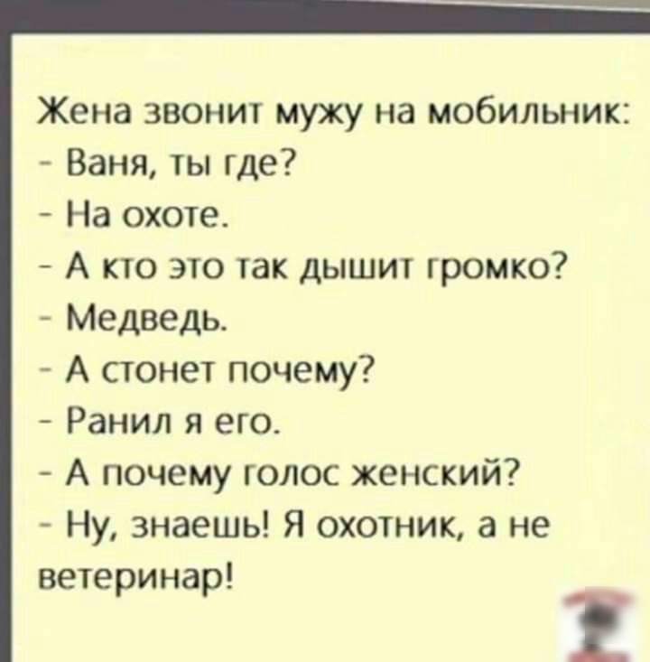 Жена звонит мужу на мобильник Ваня ты где На охо1е А кто это так дышит громко Медведь А стонет почему Ранил я его А почему голос женский Ну знаешь Я охотник а не ветеринар
