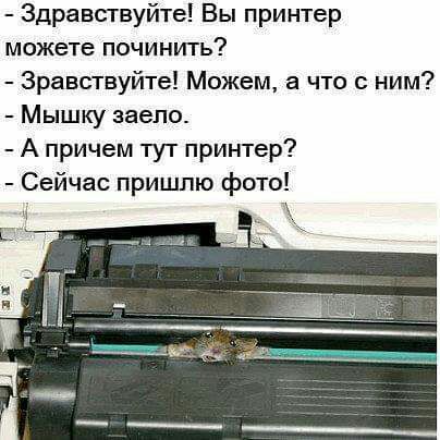 Здравствуйте Вы принтер можете починить Зравствуйте Можем а что с ним Мышку заепо А причем тут принтер Сейчас пришлю фото