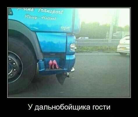ИЩИКЭ ГОСТИ У дальнобо