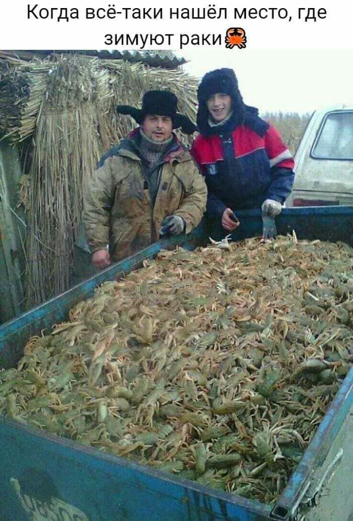 Когда всё таки нашёл место где зим ют ракит