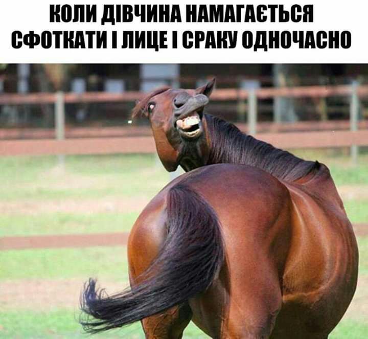 ШШ дівчинп НАМАШВТЬВП ВФЩШПИ И ВПШ одночдено _ д 5 _