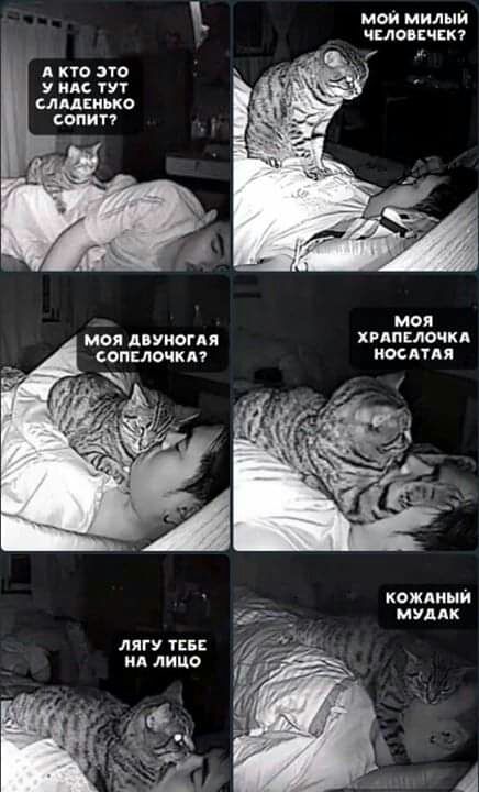 мэй милый чипа шп кто это У ндс пт слддвиько сопитт мол мы Апуиогп хппслочкд вспышки поспи кождиыи мувик лигу 155 пд лицо