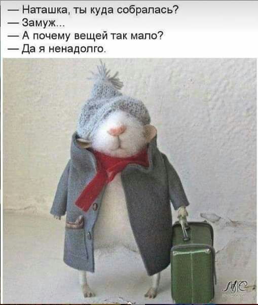 Наташка ты куда собралась Замуж А почему вещей так мало Да ненадолго Ь