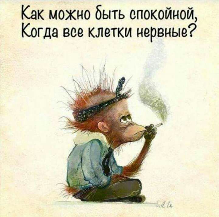 Как можно быть спокойной Когда все клетки нервные