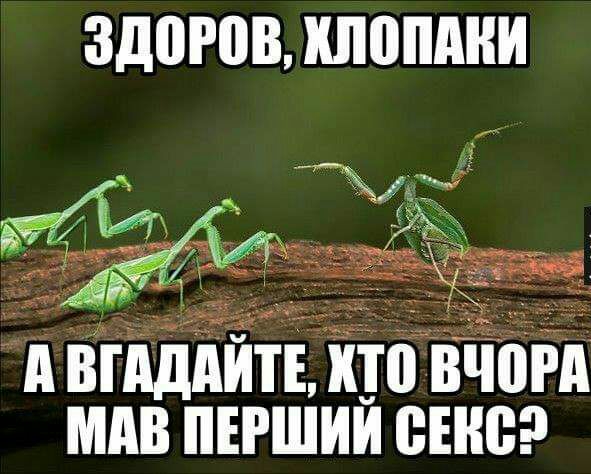 ЗДПРПВ ШЮШШИ 1 п ЁЩАЁіь по вчогд мдв пъгшии огне